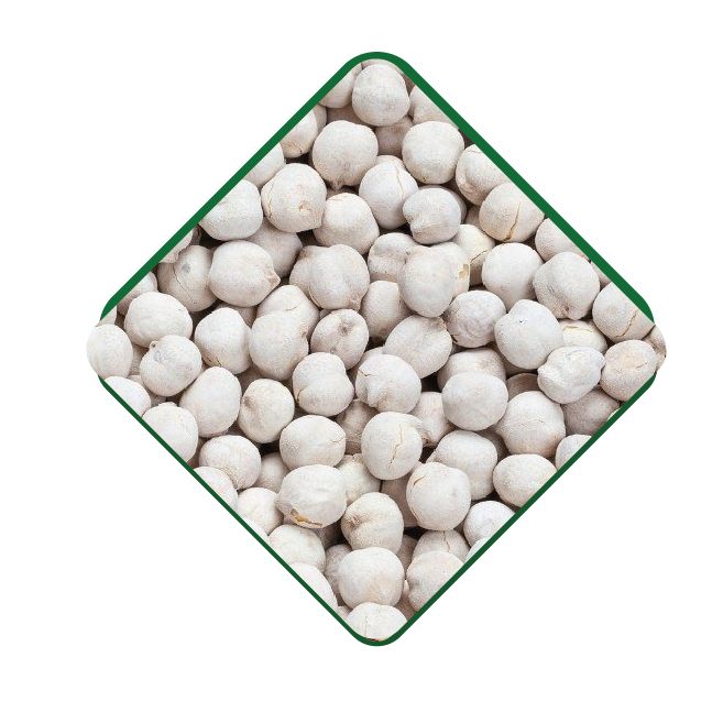 White Chickpeas